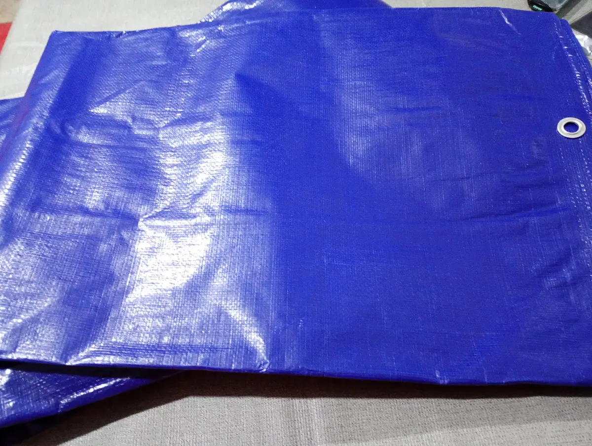 Foto 6 de reseña